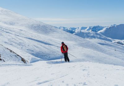 Les Orres - Vallon des Fontaines - Les Orres - Vallon des Fontaines