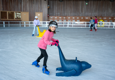 Jardin de glace à la patinoire_Les Orres - Jardin de glace à la patinoire_Les Orres