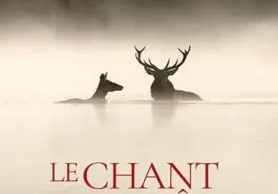 Cinéma : Le chant des forêts_Les Orres - Cinéma : Le chant des forêts_Les Orres