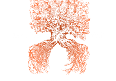 Conférence : Arbres, des super-pouvoirs?!_Les Orres - Conférence : Arbres, des super-pouvoirs?!_Les Orres