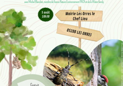 Conférence : L'arbre habitat pour une biodiversité garante de la santé des forêts_Les Orres - Conférence : L'arbre habitat pour une biodiversité garante de la santé des forêts_Les Orres