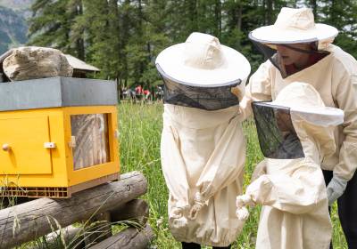 Visite des ruches des Orres
