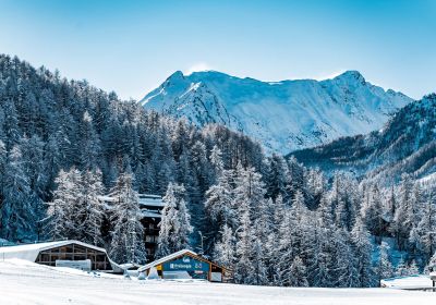 LesOrres_paysages-neige_09.12.2021-5.jpg