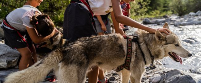 Canirando aux Orres, Alpes du sud