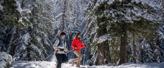 Balade en raquette dans la poudreuse, Les Orres en hiver, Hautes-Alpes
