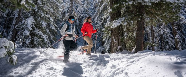 Balade en raquette dans la poudreuse, Les Orres en hiver, Hautes-Alpes
