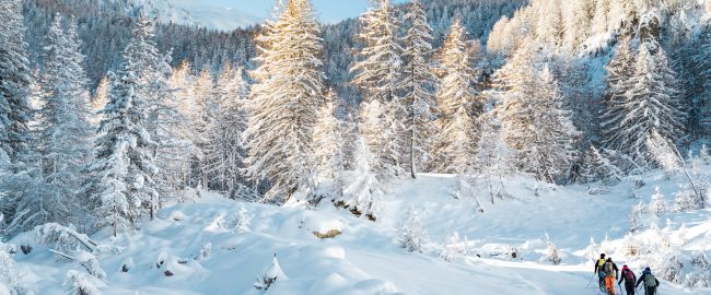 Ski de randonnée Les Orres, Alpes du sud