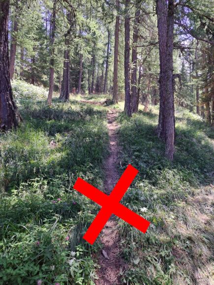 Infos coupes itinéraires bike park Les Orres 