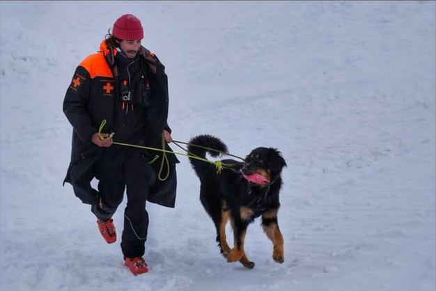Entrainement chiens avalanche Les Orres