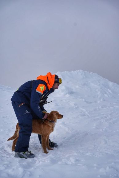 Entrainement chiens avalanche Les Orres