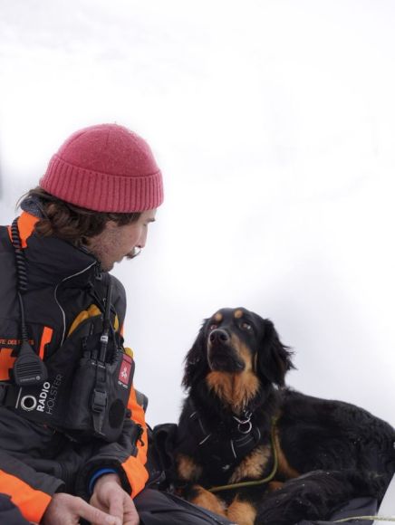 Entrainement chiens avalanche Les Orres