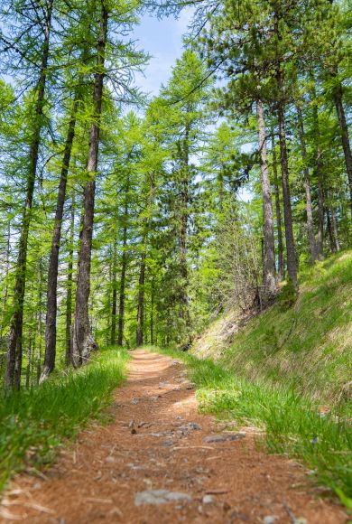 Les Orres chemin du garde