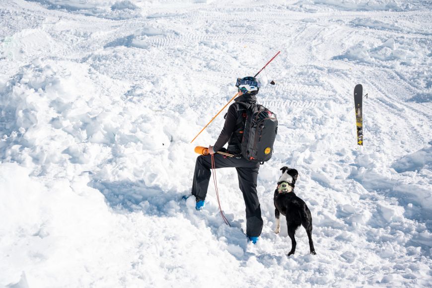 maitre chien avalanche, sécurité à la station de ski Les Orres, Alps du sud