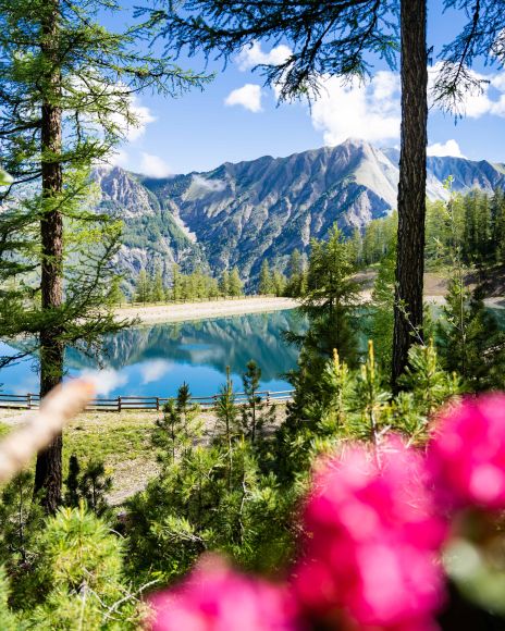Randonner aux Orres, Au frais des mélèzes, lac collinaire Grand Clos aux Orres, Hautes-Alpes