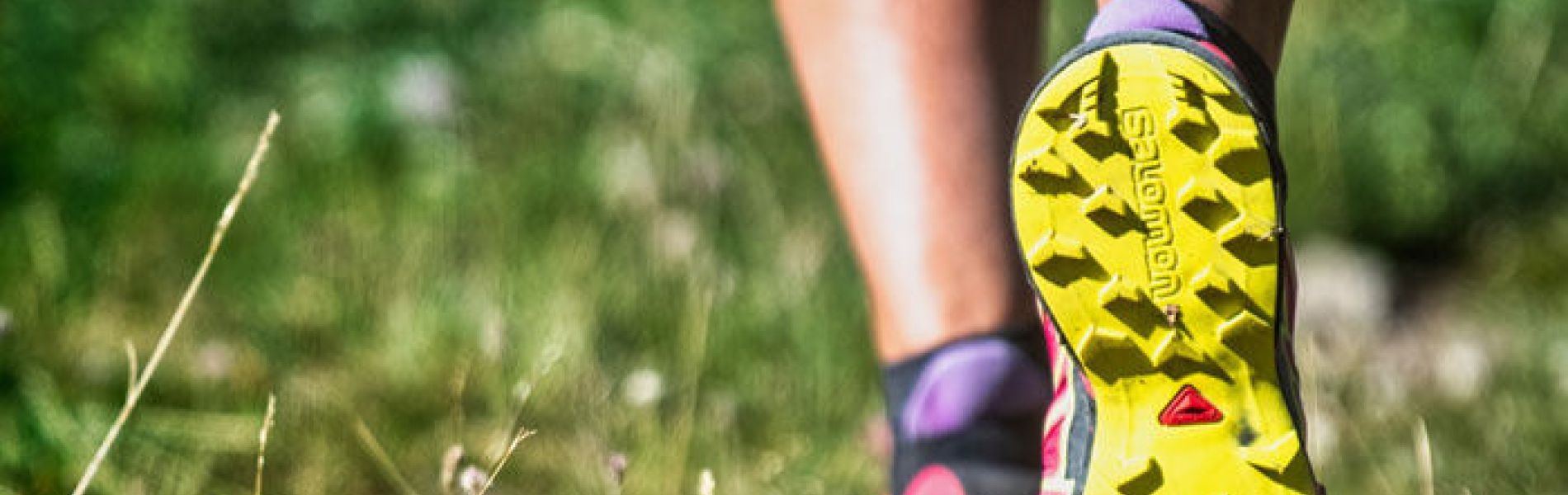 Les Orres trail - Les Orres trail