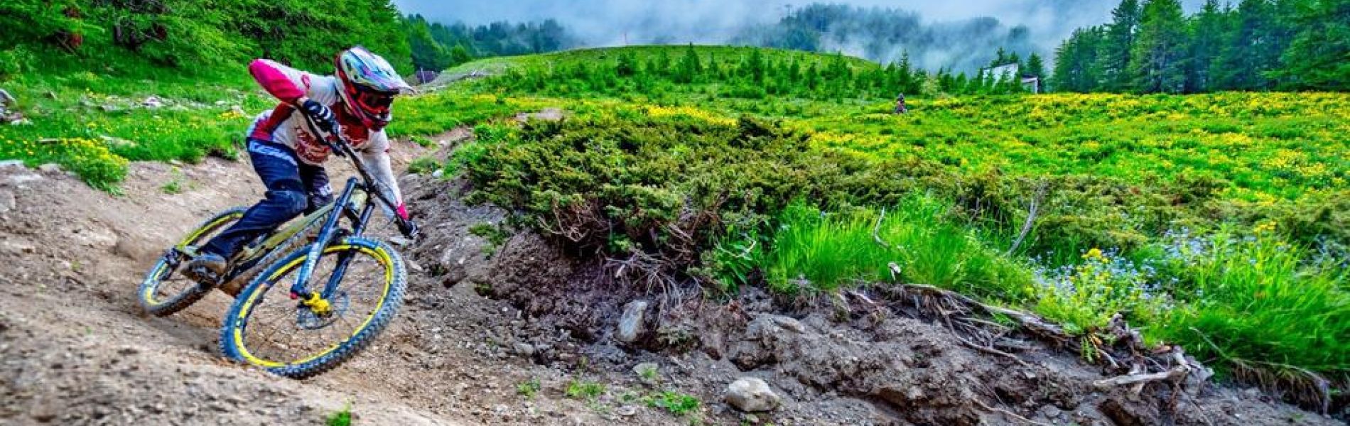 Les Orres-Bike Park - Les Orres-Bike Park