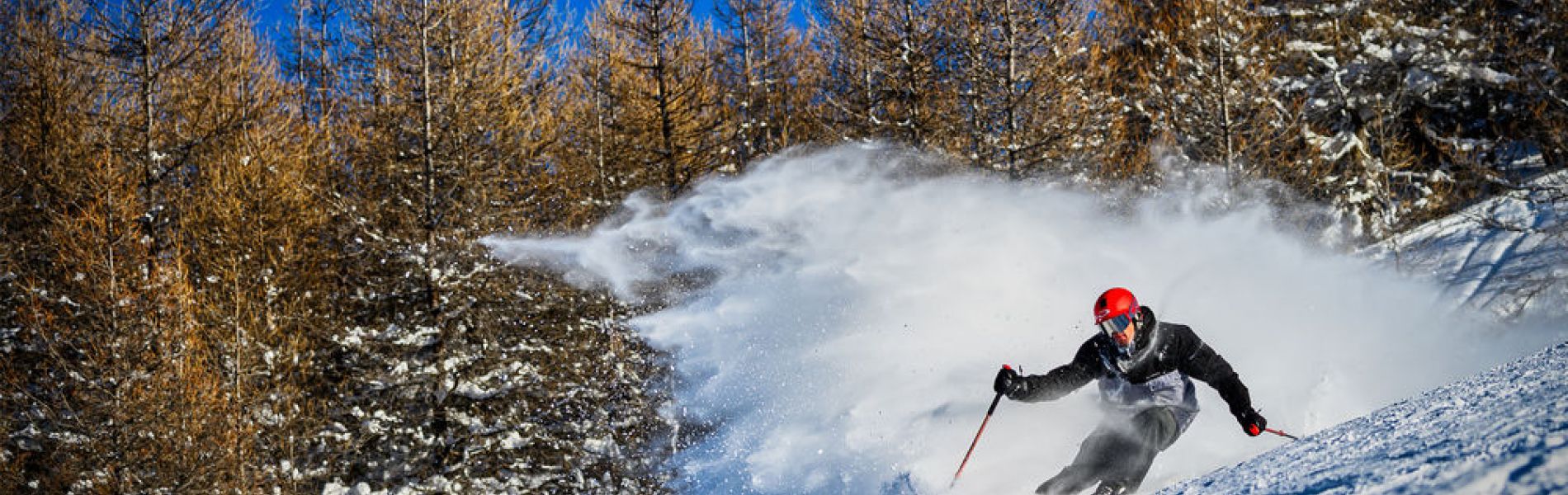 Les Orres - Piste Myrtilles - Les Orres - Piste Myrtilles Les Orres - Piste Myrtilles - Les Orres - Piste Myrtilles