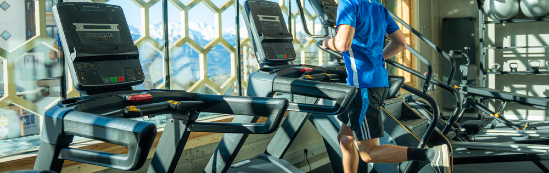 Salle de musculation et cardio - Salle de musculation et cardio
