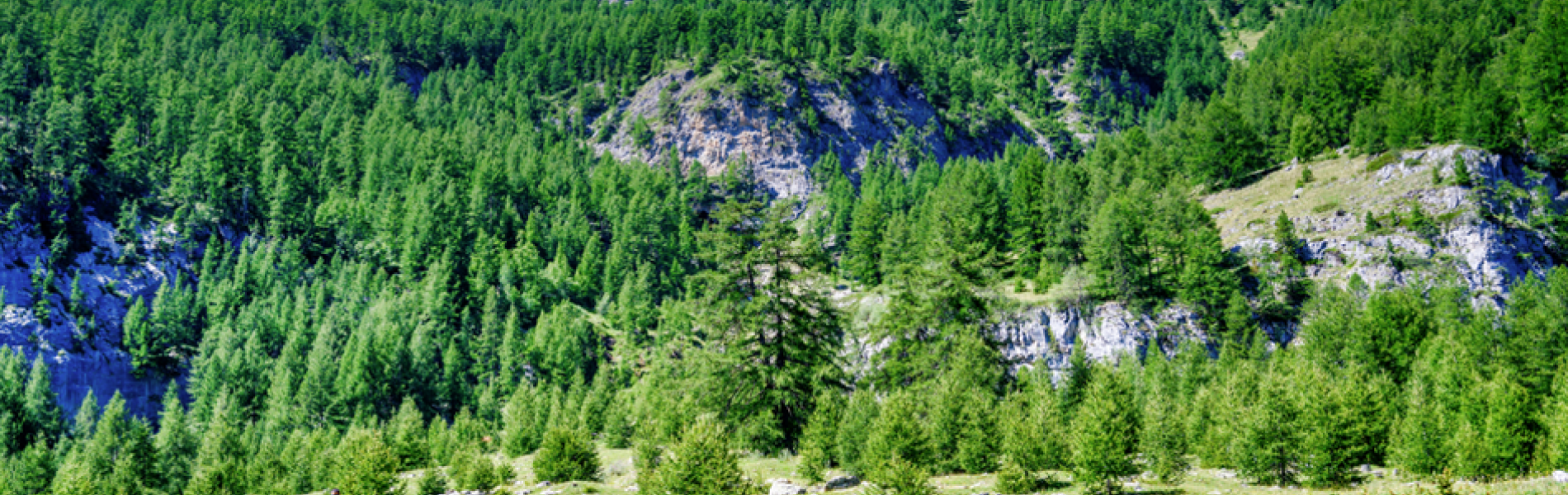 Boucle de la Mazelière_Les Orres Boucle de la Mazelière_Les Orres