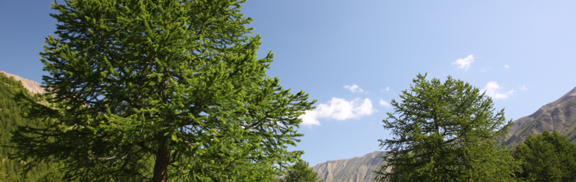 Boucle du Grand Vallon - Itinéraire VTTAE_Les Orres - Boucle du Grand Vallon - Itinéraire VTTAE_Les Orres