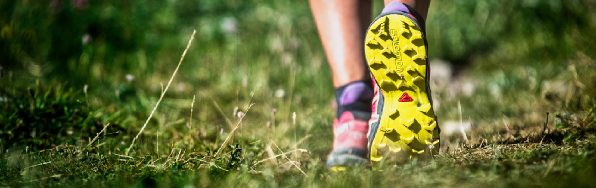 Découverte du trail en montagne_Les Orres - Découverte du trail en montagne_Les Orres