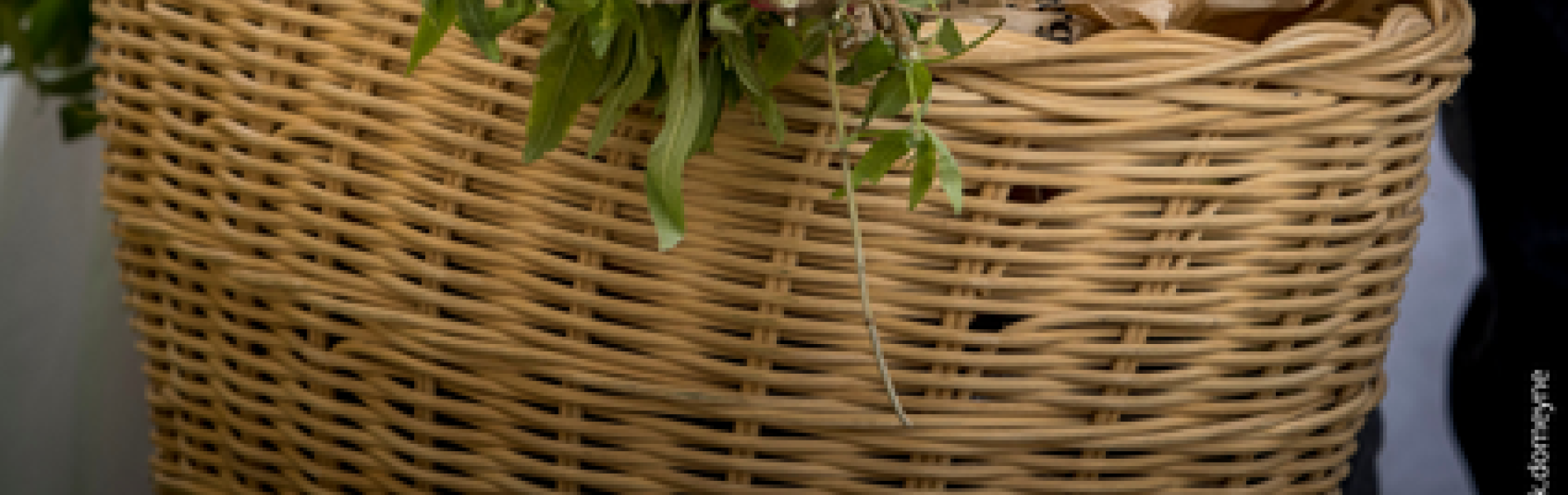 Marché des Producteurs de Pays_Les Orres - Marché des Producteurs de Pays_Les Orres