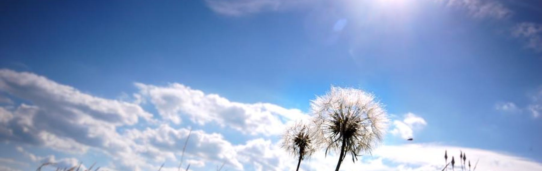 Conférence : Connaître le soleil_Les Orres - Conférence : Connaître le soleil_Les Orres