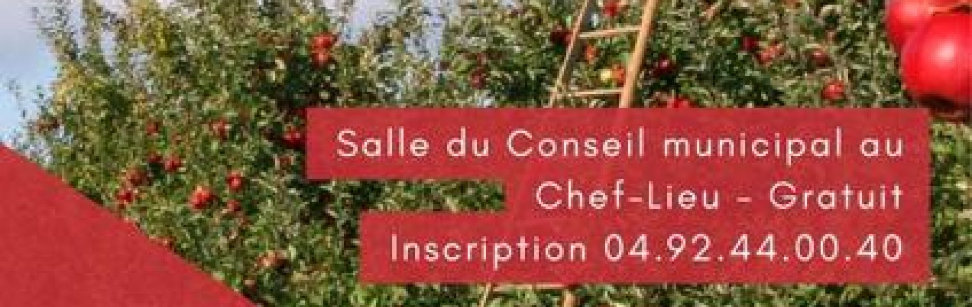 Conférence : la taille des arbres fruitiers_Les Orres - Conférence : la taille des arbres fruitiers_Les Orres