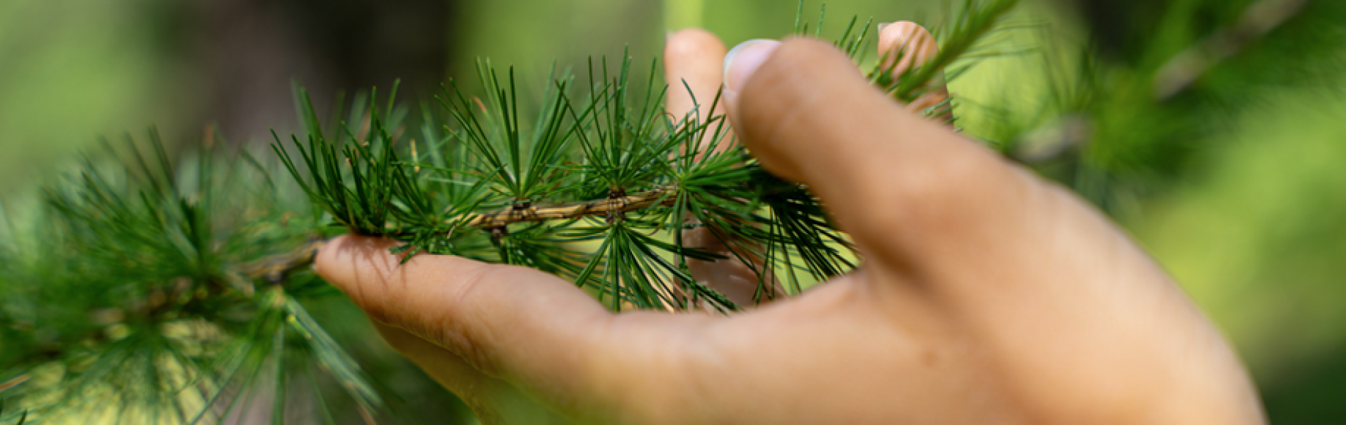 Pure Flow - Festival Sport & Bien-Être en Montagne_Les Orres