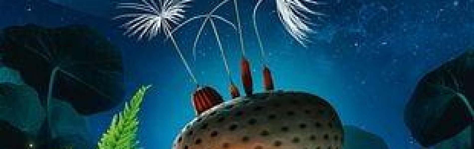 Cinéma : Planètes_Les Orres - Cinéma : Planètes_Les Orres