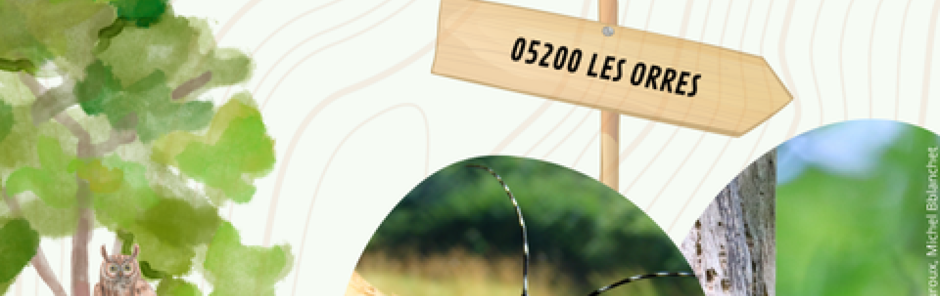 Conférence : L'arbre habitat pour une biodiversité garante de la santé des forêts_Les Orres - Conférence : L'arbre habitat pour une biodiversité garante de la santé des forêts_Les Orres