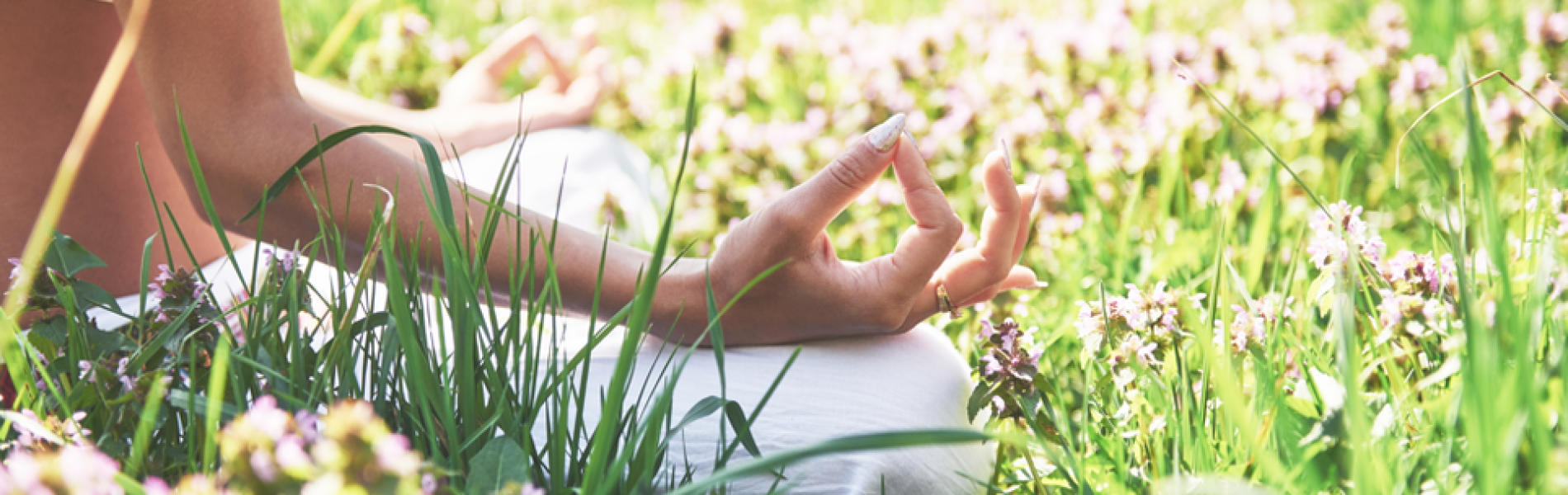 Pure Flow : Morning reset - Energie positive_Les Orres - Pure Flow : Morning reset - Energie positive_Les Orres