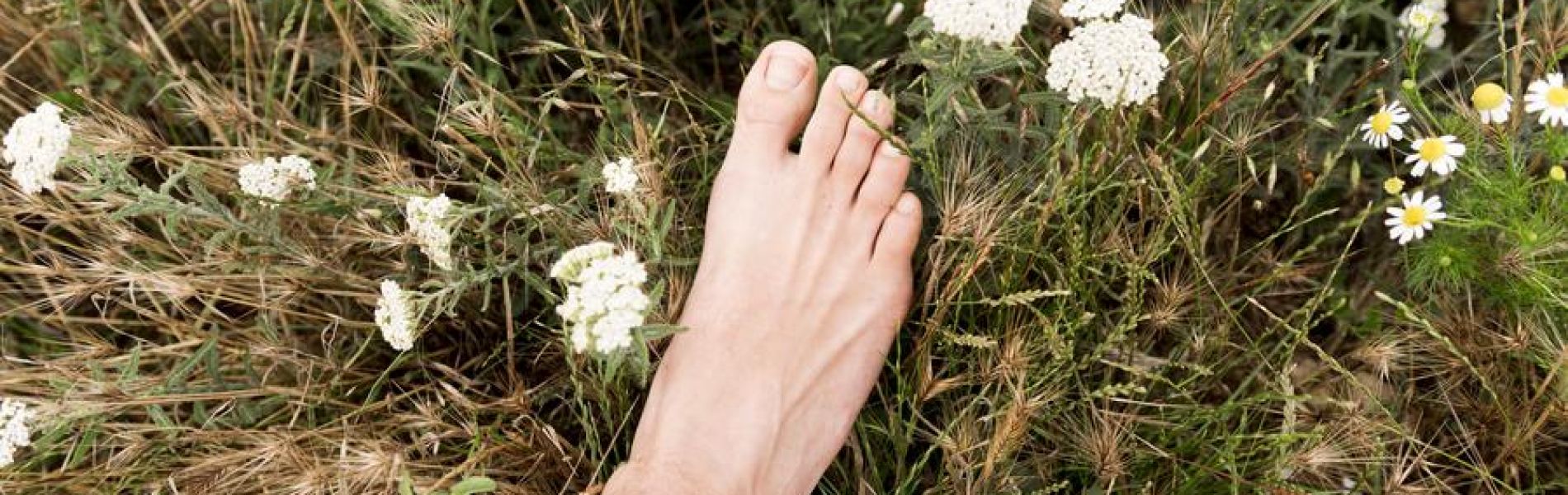 Balades nature & bien-être : "Pieds nus !"_Les Orres - Balades nature & bien-être : "Pieds nus !"_Les Orres