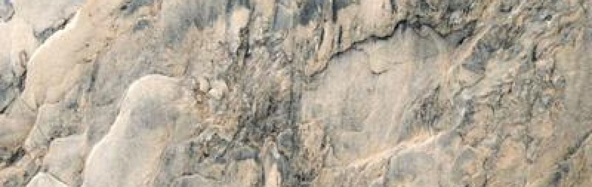 Exposition : « Photographie poétique : Murmures du Grand Vallon_Les Orres - Exposition : « Photographie poétique : Murmures du Grand Vallon_Les Orres