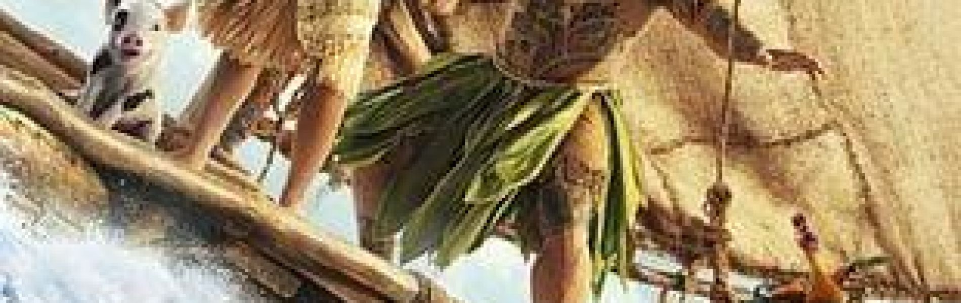 Cinéma : Vaiana, la légende du bout du monde_Les Orres - Cinéma : Vaiana, la légende du bout du monde_Les Orres