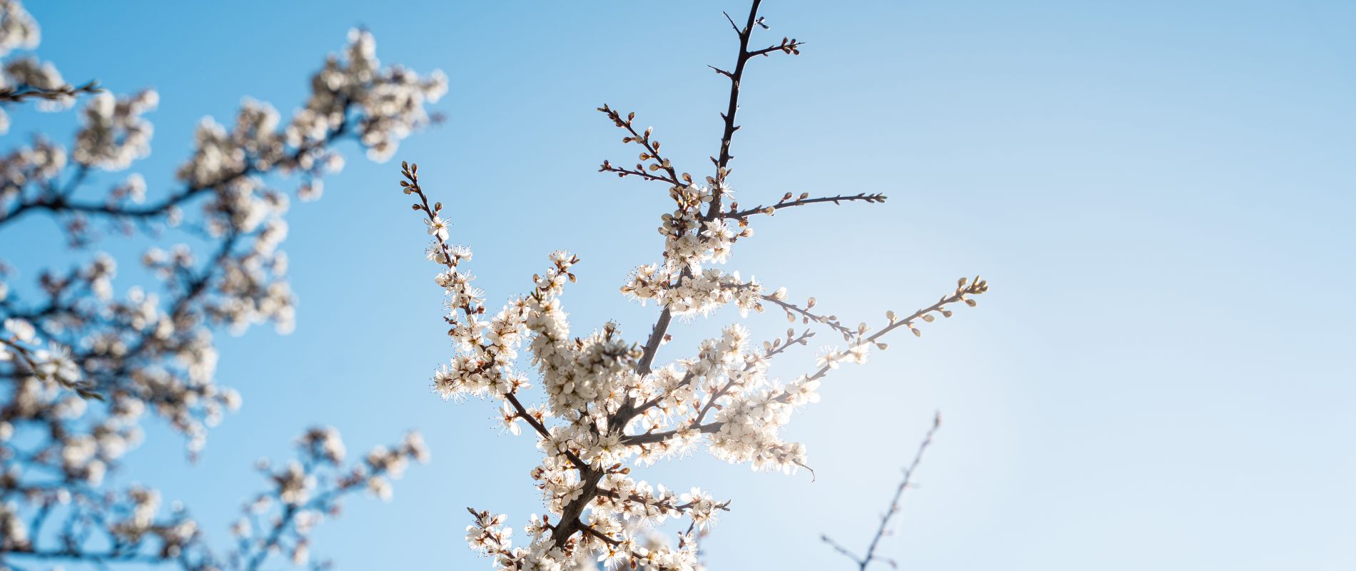 Météo cet été aux Orres, Alpes du sud