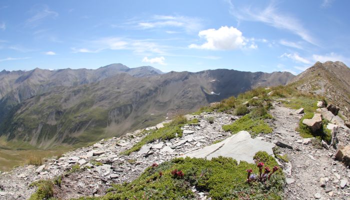 L'aupillon, cretes et sommets, randonnée aux Orres, Hautes-Alpes