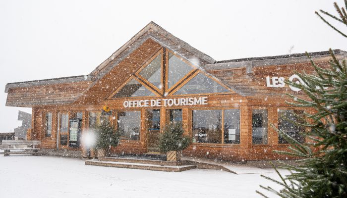 Sous la neige
