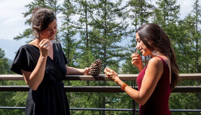 Festival detox et bien être huiles essentielles aux Orres, Hautes-Alpes