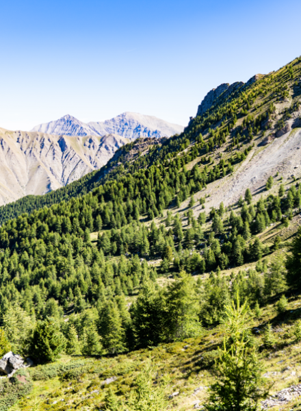 Col de Terre Rouge aux Orres, dans les Alpes du Sud