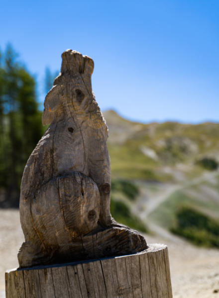 Col de Terre Rouge aux Orres, dans les Alpes du Sud