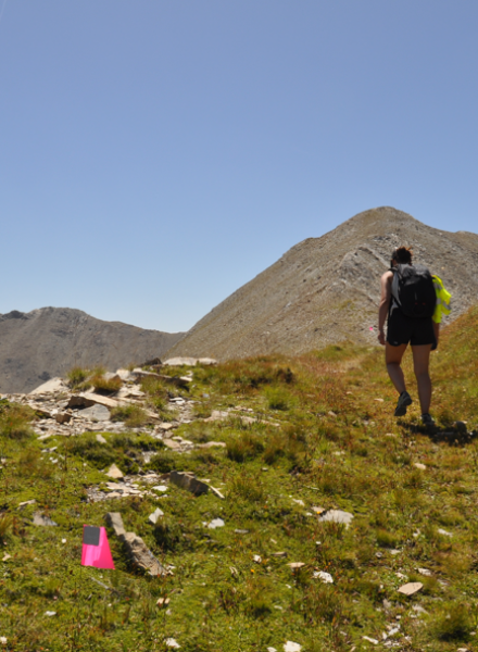 Skyrace des Orres