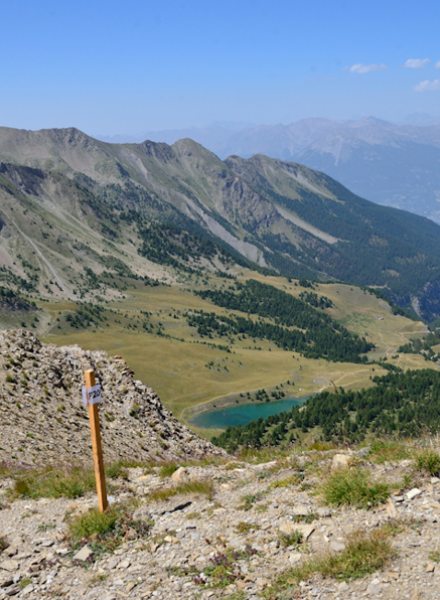 Skyrace des Orres