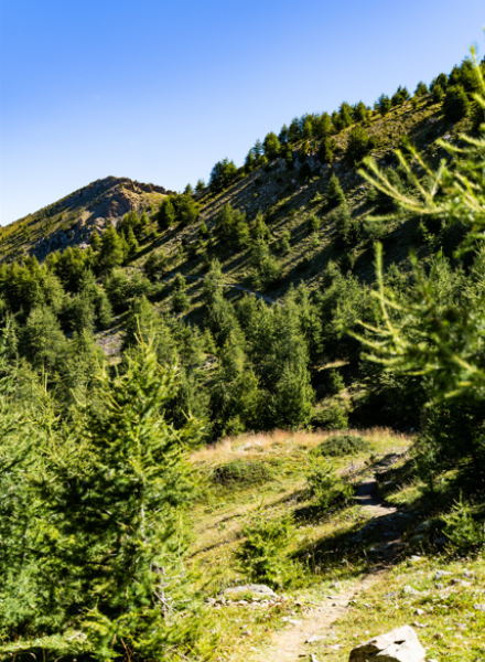 Col de Terre Rouge randonnée panoramique
