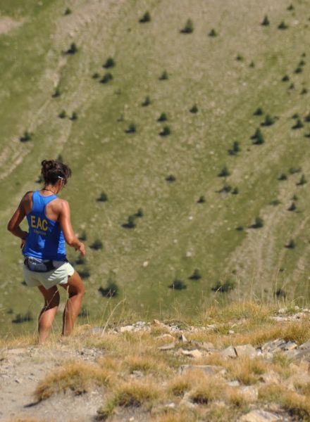 Skyrace course trail Les Orres Alpes du sud