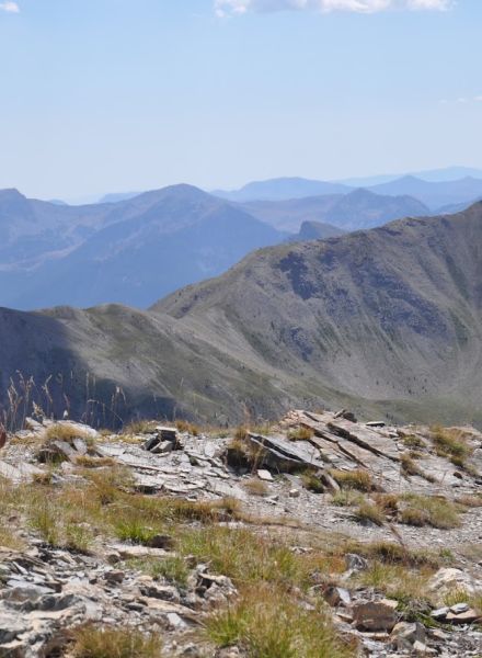Skyrace course trail Les Orres Alpes du sud