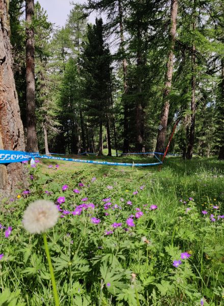 Piste Black Patrol - Les Orres Bike Park VTT DH Hautes-Alpes
