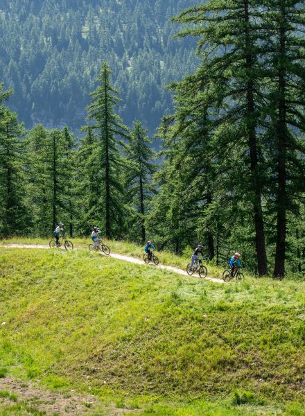 Les Orres Bike Park VTT DH dans les Alpes du sud