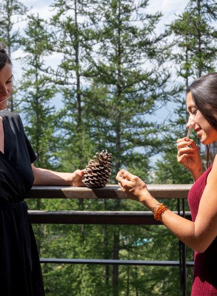 Festival detox et bien être huiles essentielles aux Orres, Hautes-Alpes