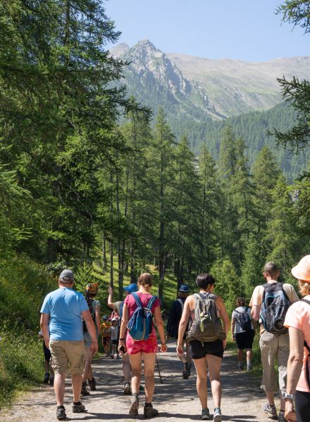 Festival detox et bien être randonnée nature aux Orres, Hautes-Alpes